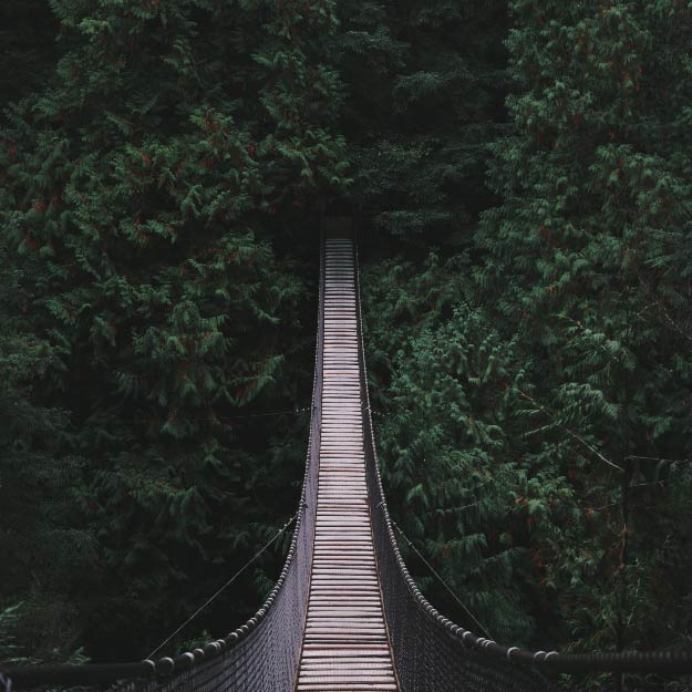 the phto of Lynn Canyon Suspension Bridge